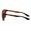 SHIMANO Eyewear Ultegra Tortoiseshell & Copper
