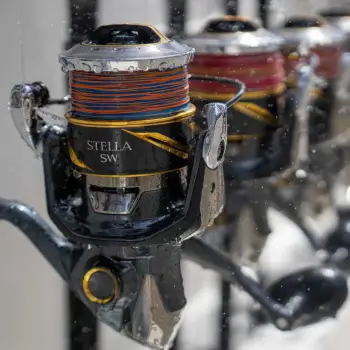 SHIMANO Stella SW D 14000 XG