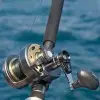 SHIMANO Tyrnos II 20lb Right Hand
