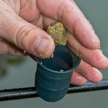 SONUBAITS ONE to ONE Paste