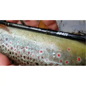 TAILWALK Backhoo Tres Spinning S642L 193cm 0.9-7g