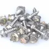 TAIMEN Tungsten Carbide Studs