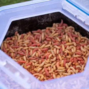 ZEBCO Secure-Lock Bait Box 1L