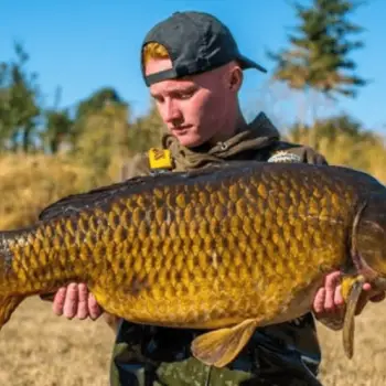 DYNAMITE BAITS Monster Tiger Nuts Hard Hookbaits 14/15mm