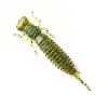 FANATIK Larva 1.6