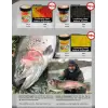 FTM Trout Finder Bait - Cadaver Floating