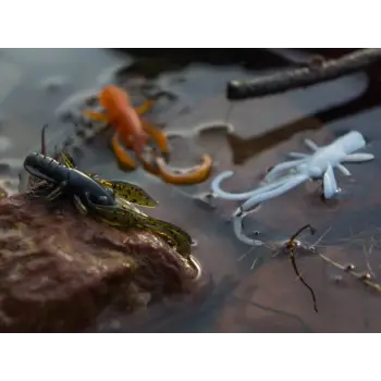 FISHUP Baffi Fly 1.5 inch Cheese Taste