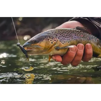 FISHUP Fancy Grub 2.5 inch