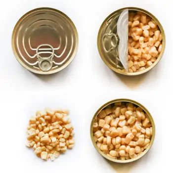 PESCA VIVA Natural White Sweetcorn 340g