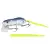 Nasty Shad - - КОД : 4867-905 
