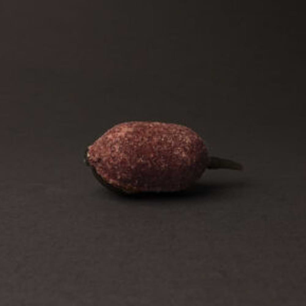 2.20 Baits Nada Supreme Somon & Krill 1 kg