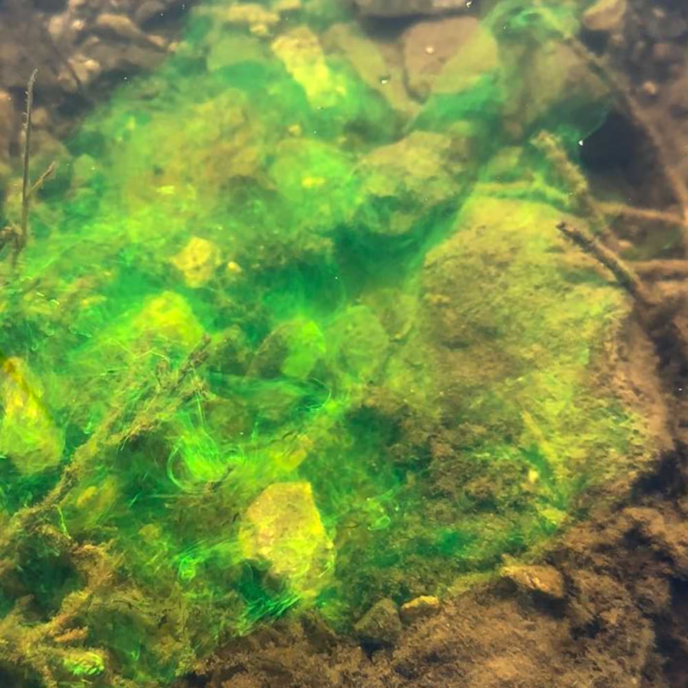 2.20 Baits Fluo Supreme Liquid Attractant Garlic - Green 100 ml