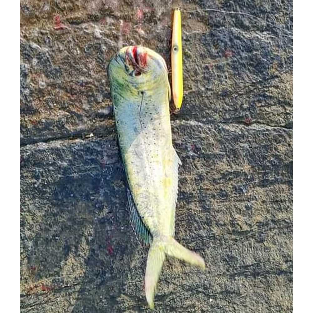 AS LURES Hydra 145 145mm 19g Floating