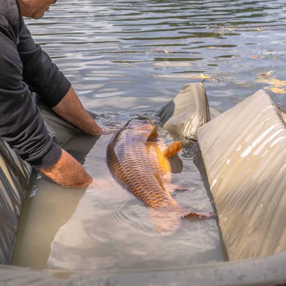 AVID CARP Pro-Tect Deluxe Cradle