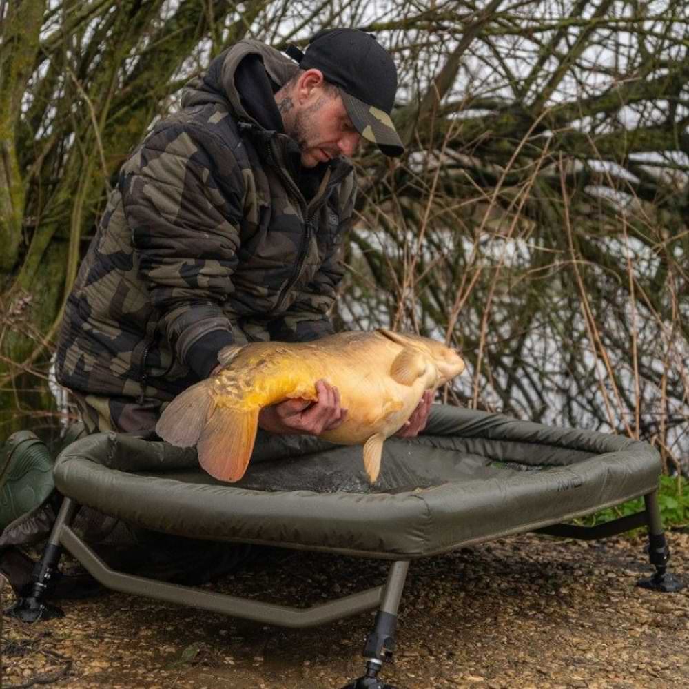 AVID CARP Pro-Tect Safeguard Cradle