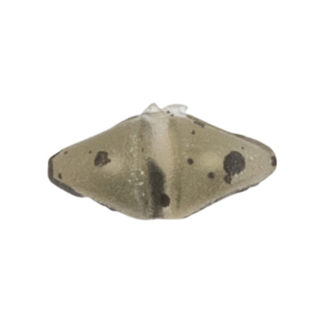 AVID CARP Boilie Stop