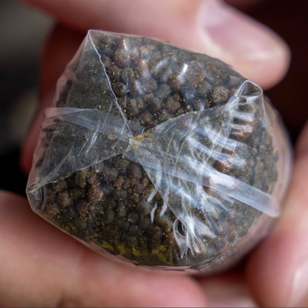 AVID CARP Transfer Solid PVA Bag - X-Small