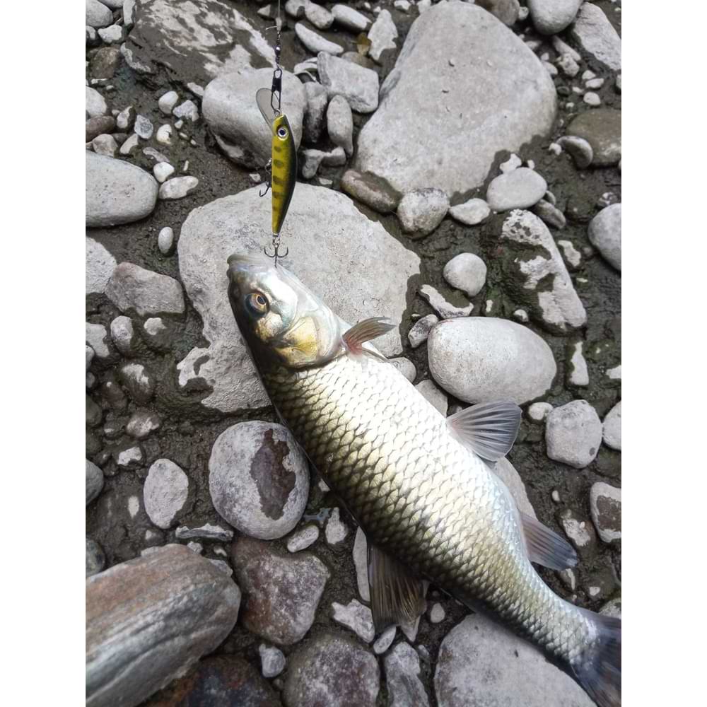 ALEKSIEV HANDMADE Trout Killer - 4cm 1.7g Sinking