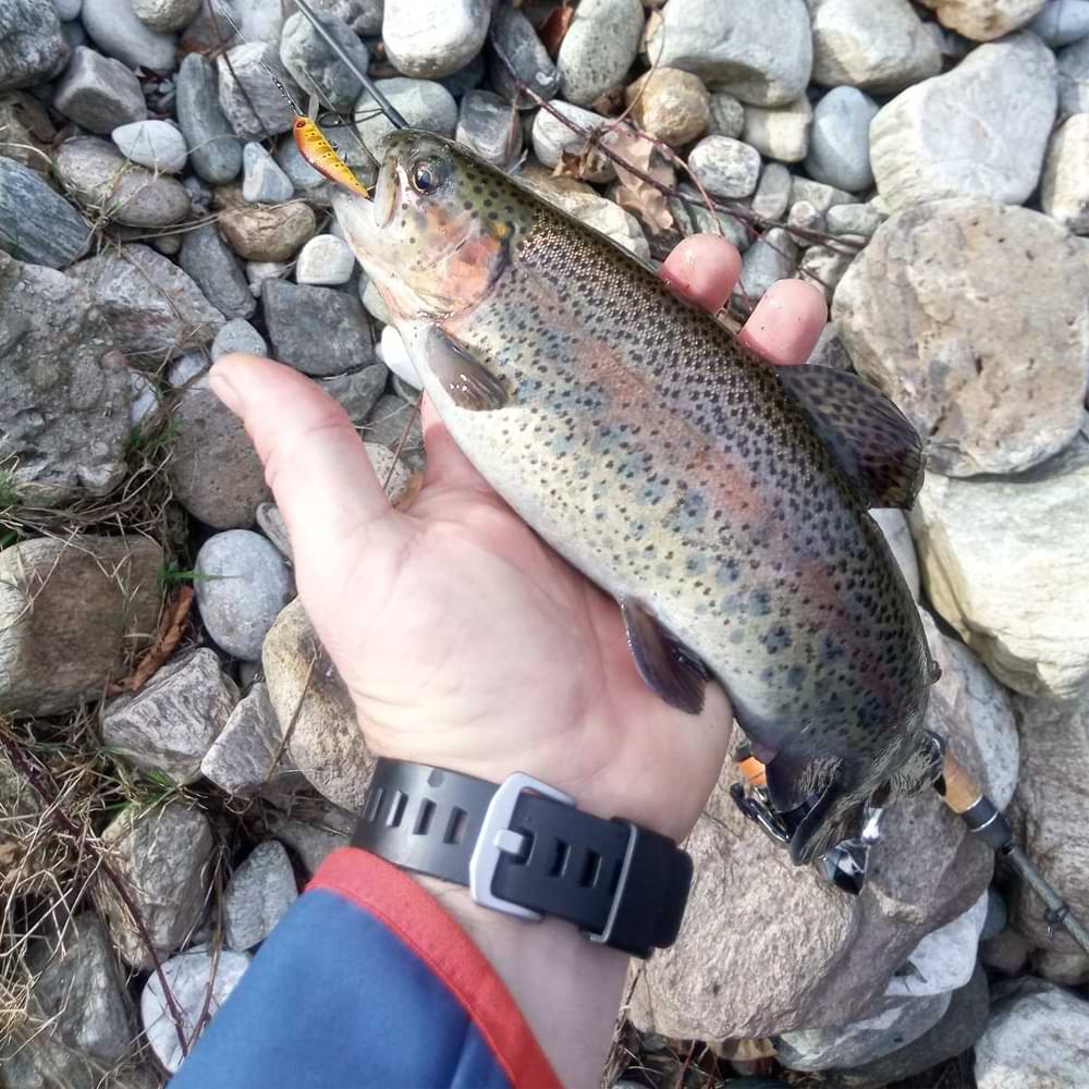 ALEKSIEV HANDMADE Trout Killer - 5cm 1.9g Sinking LIMITED COLORS