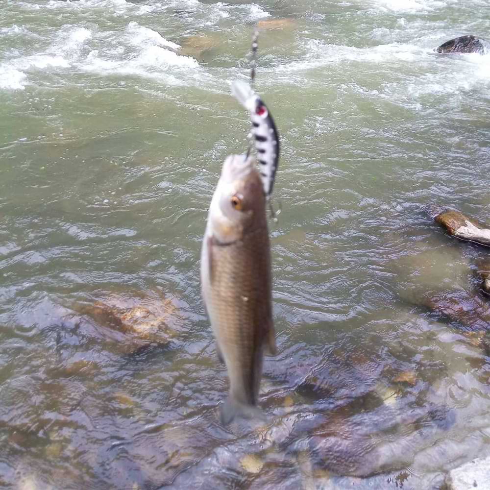 ALEKSIEV HANDMADE Trout Killer - 4cm 1.7g Sinking