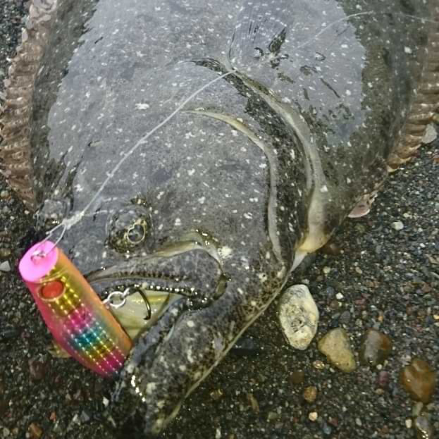 APIA Punch Line 95 20g