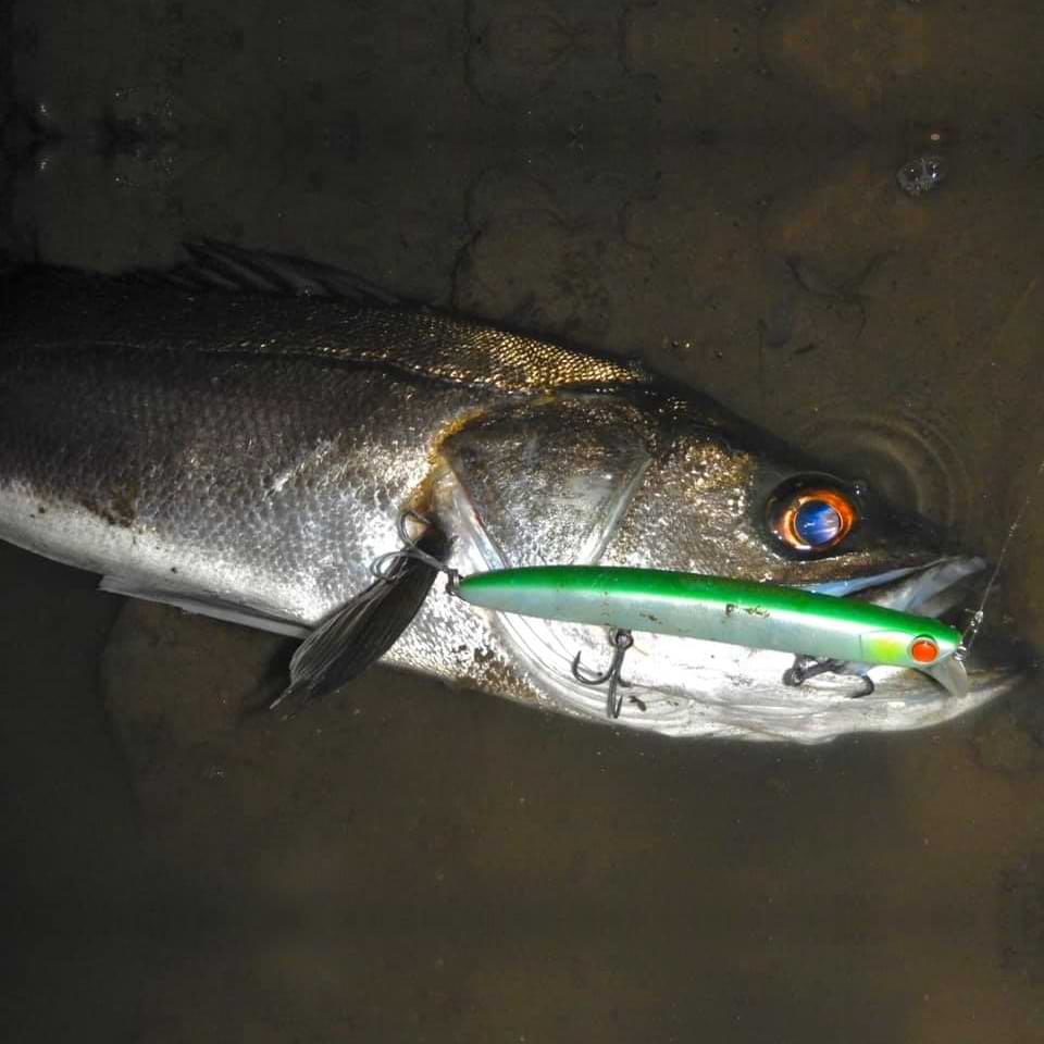 APIA Lammtarra Badel 130 20g