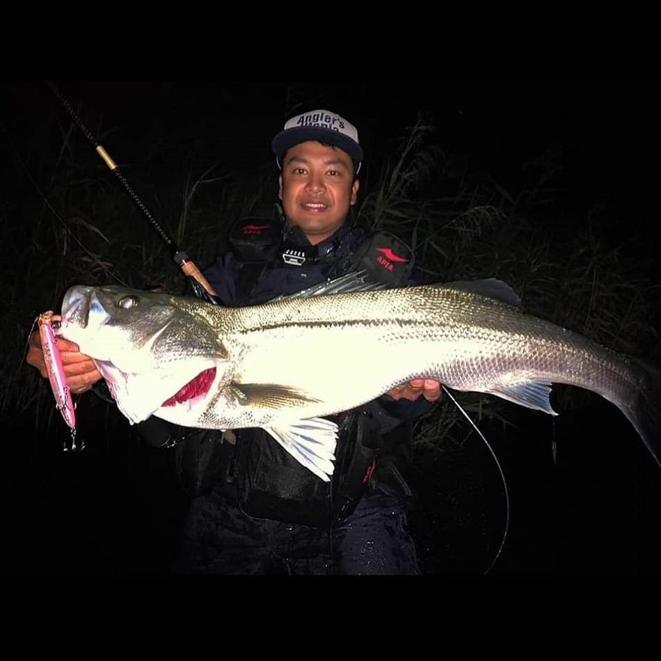 APIA Lammtarra Badel 130 20g