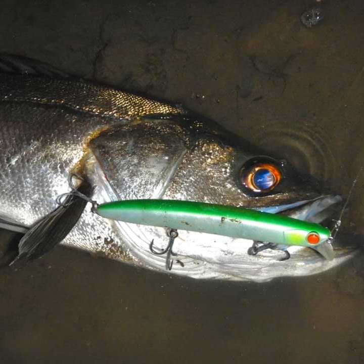 APIA Lammtarra 130 18g