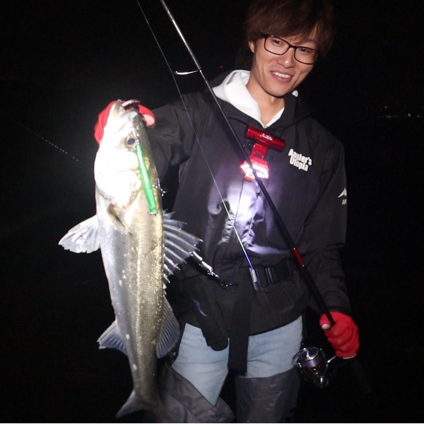 APIA Punch Line Slim 90mm 12g