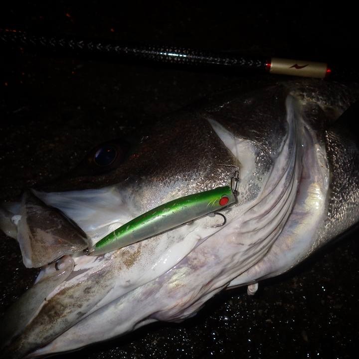 APIA Punch Line Muscle 80 16g