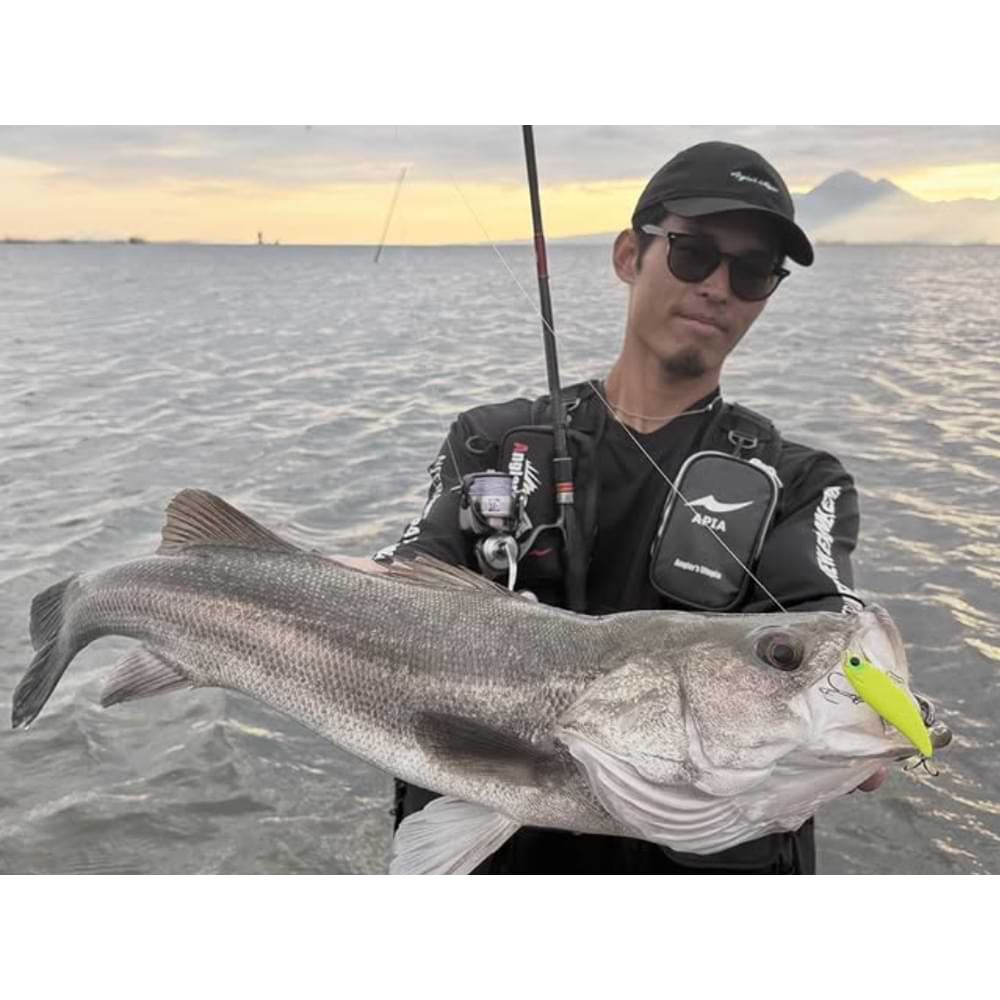 APIA Foojin Z 6th Generation Flow Hunt S91ML