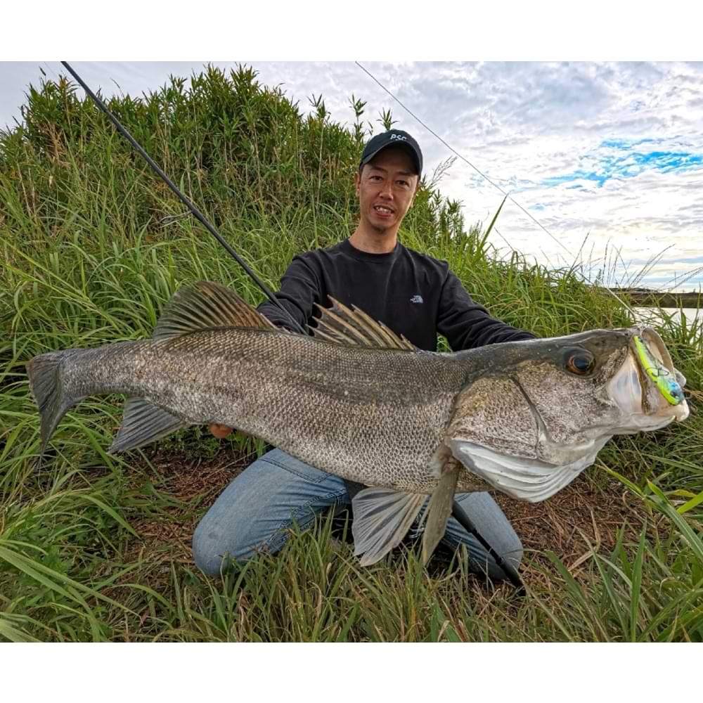 APIA Foojin Z 6th Generation Flow Hunt S91ML