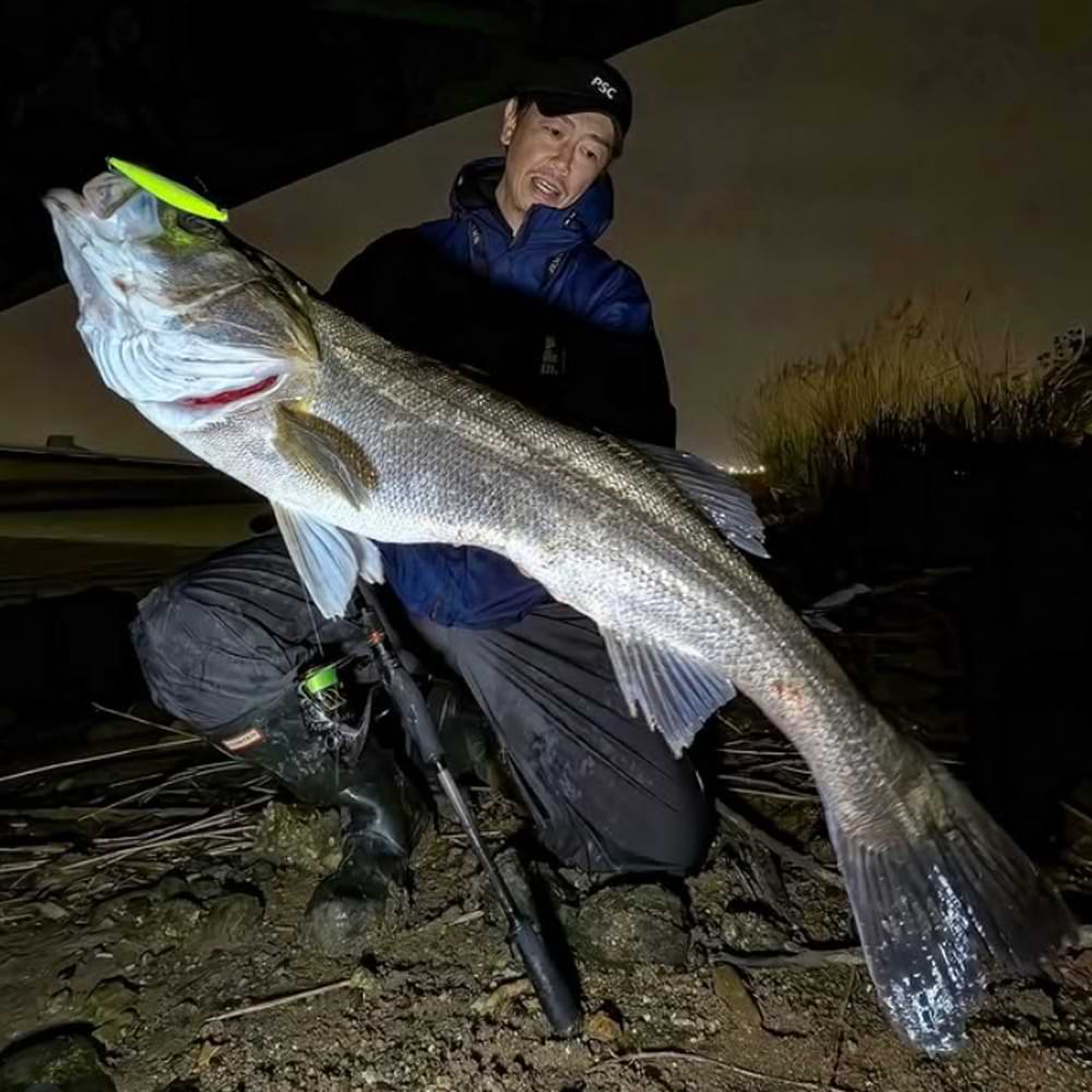 APIA Foojin Z 6th Generation Super Seven S77MH