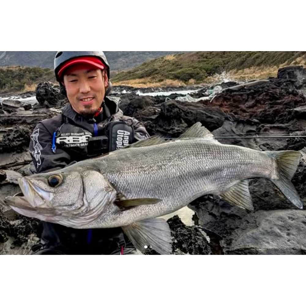 APIA Grandage Northern Lights S106ML