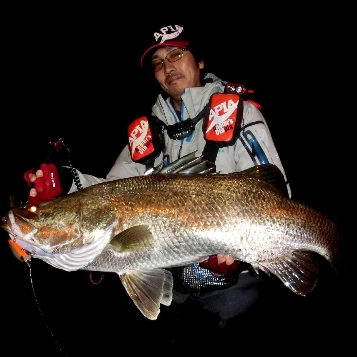 APIA Foojin Z Beast Brawl 93MH Boron