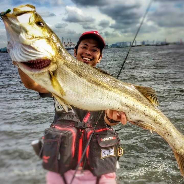 APIA Foojin Z Generous 94M