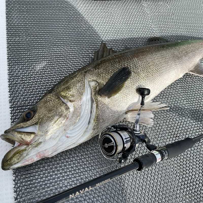 APIA Grandage Naval Seafarer S76M