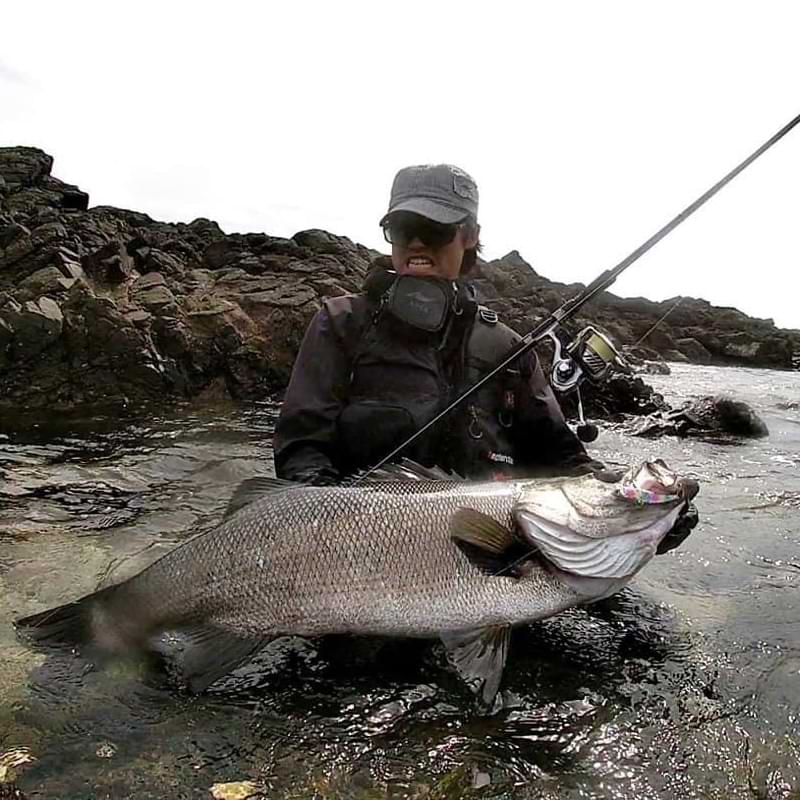 APIA Grandage Atlas Blackfin 102HH