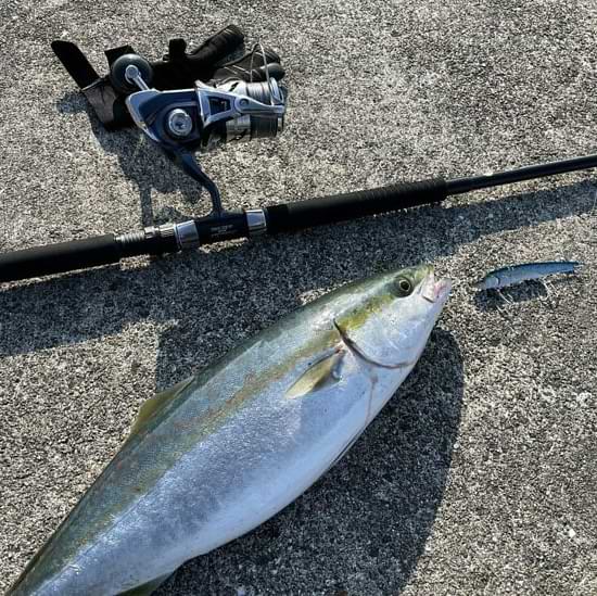 APIA Grandage Atlas Blue Runner 100MH