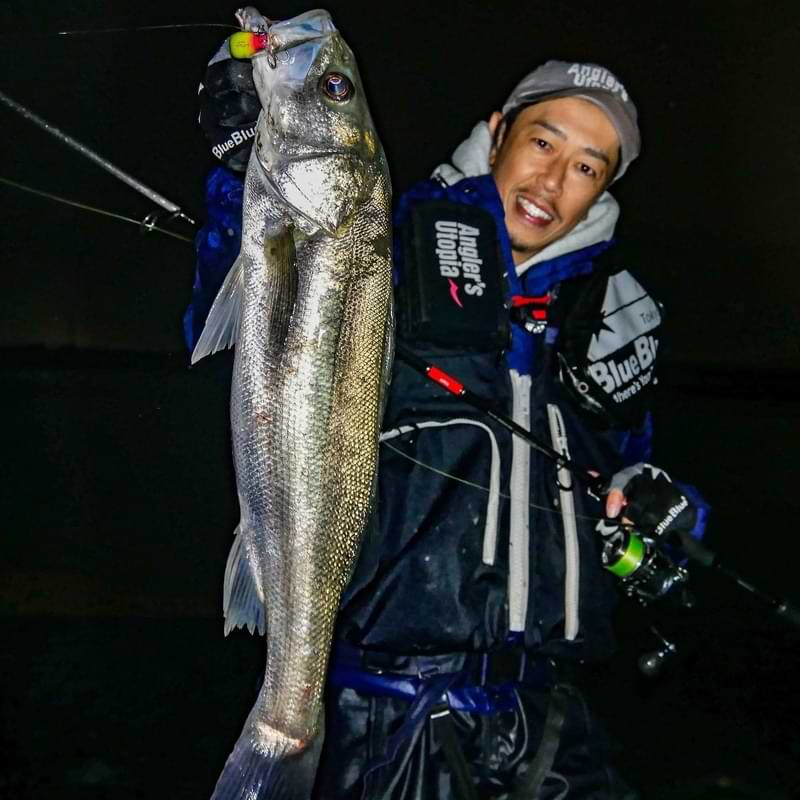 APIA Foojin RS Springer 88ML