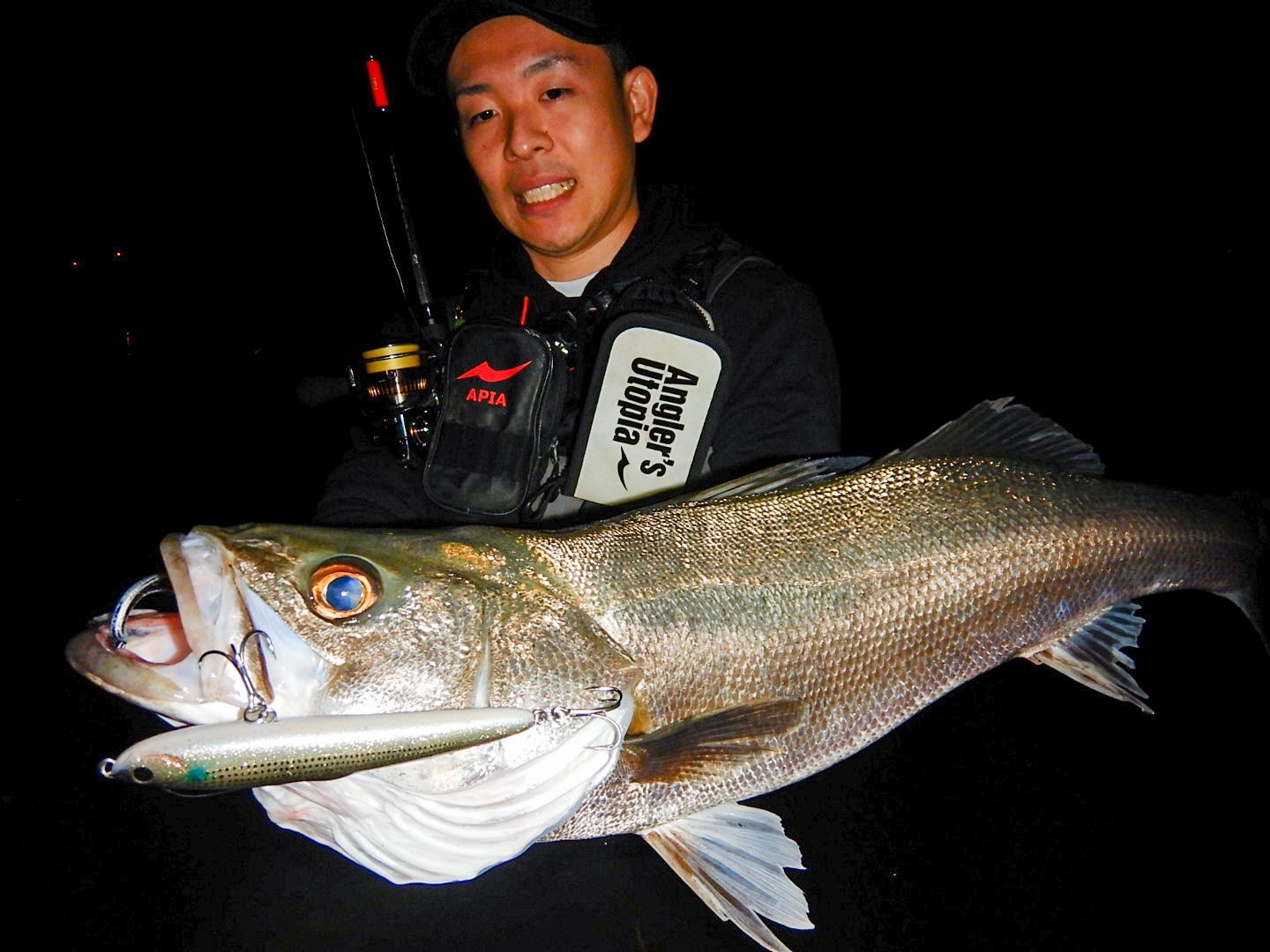 APIA Foojin RS Desire 95MH