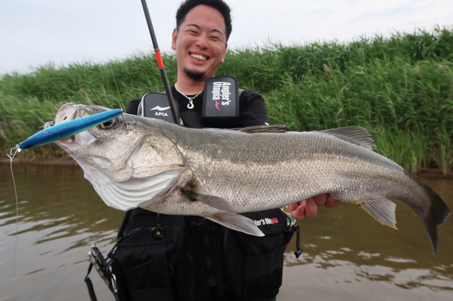 APIA Foojin RS Vivogue 96ML+