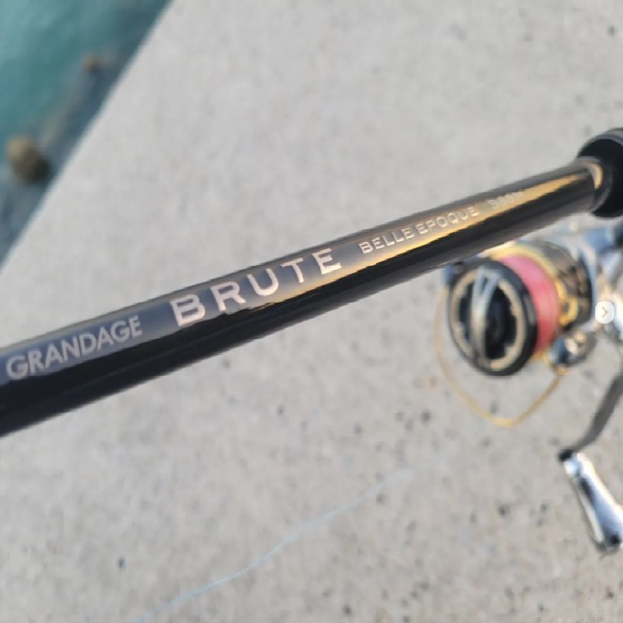 APIA Grandage Brute Belle Epoque S86M