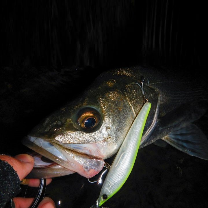 APIA Ailed'ore 115F 18g Floating NEW 2023 color