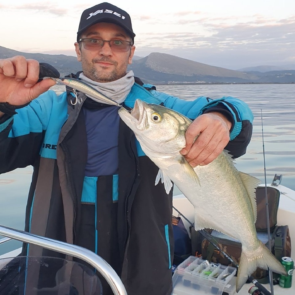 APIA Ailed'ore 115F 18g Floating NEW 2023 color