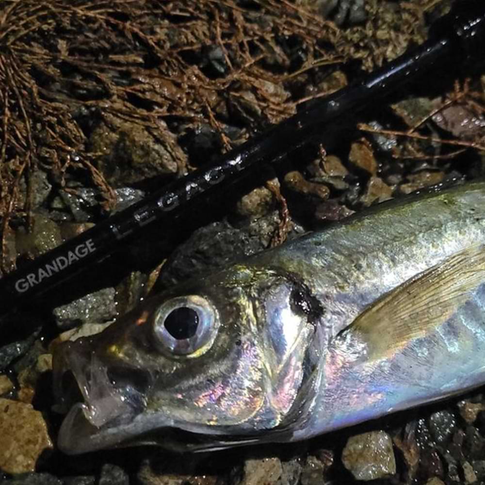 APIA Grandage Legacy Hyper Stinger S56L-HS