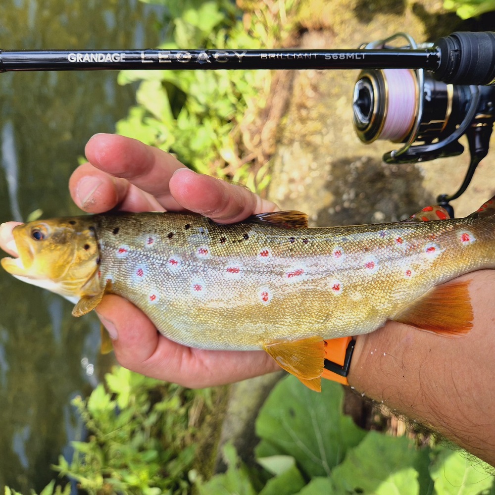 アピア　APIA　グランデージLEGACY S68MLT GRANDAGE LEGACY BRILLIANT S68MLT レガシー ブリリアント | ロッド