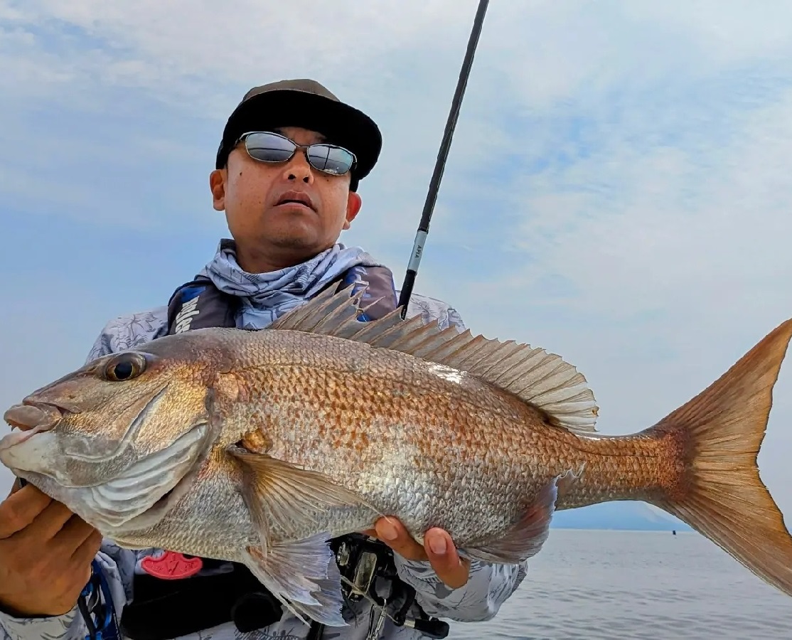 APIA Grandage Legacy Super Blast S83M-HS