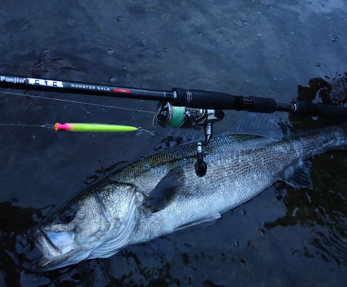 APIA Foojin BB Monster Gale 110H