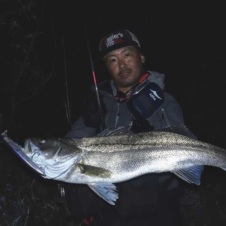 APIA Lammtarra Badel 105F 15g